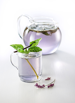 1883 Lavender Tea
